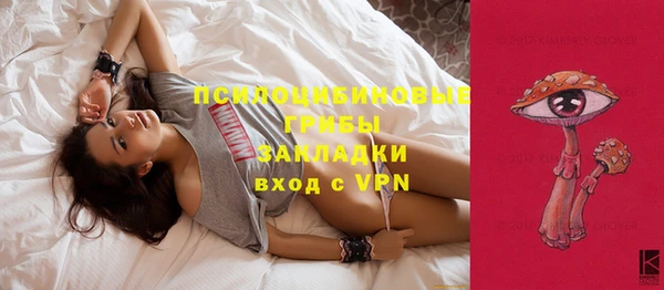 гидра Алексеевка