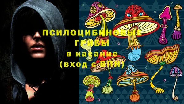 apvp Алзамай