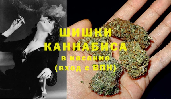 ПСИЛОЦИБИНОВЫЕ ГРИБЫ Ладушкин