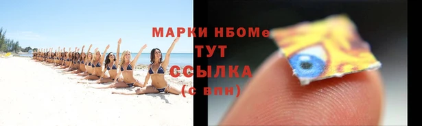 apvp Алзамай