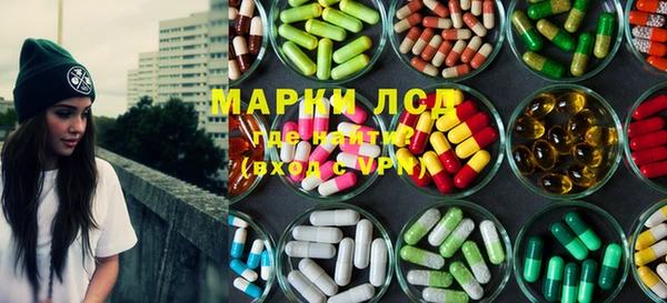 apvp Алзамай