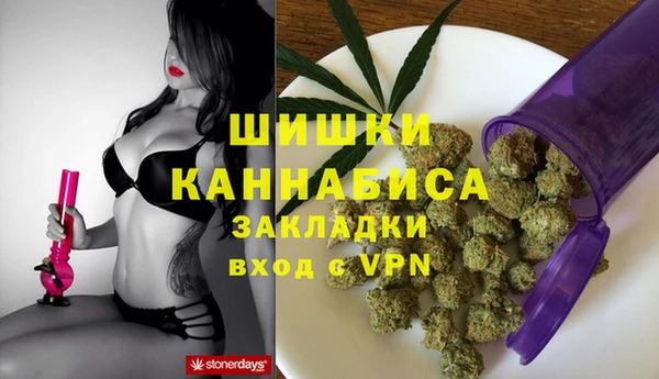 гидра Алексеевка