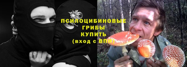 ПСИЛОЦИБИНОВЫЕ ГРИБЫ Ладушкин